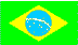 Brazillian Flag